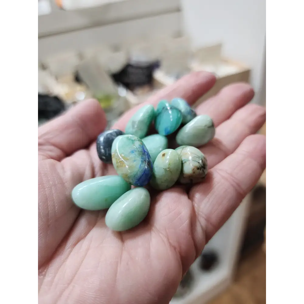 Quantum Quatro Tumbles - Tumbles