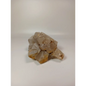 🌸✨ Quartz Flower Specimen – Harmony and Natural Beauty ✨🌸 - 5 - Specimens