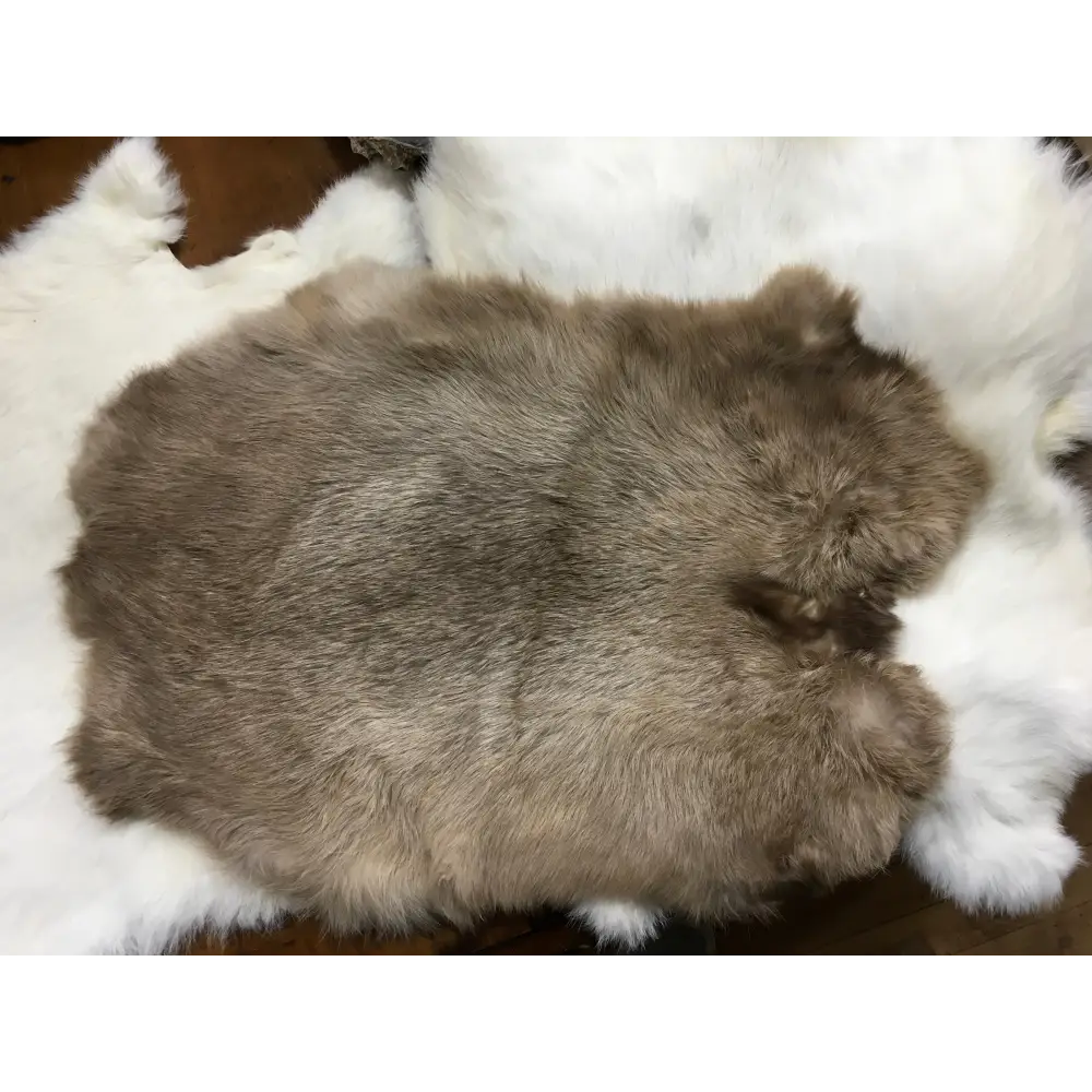 Rabbit Fur - Bones & Pelts