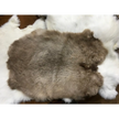 Rabbit Fur - Bones & Pelts