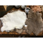 Rabbit Fur - Bones & Pelts