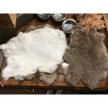 Rabbit Fur - Bones & Pelts