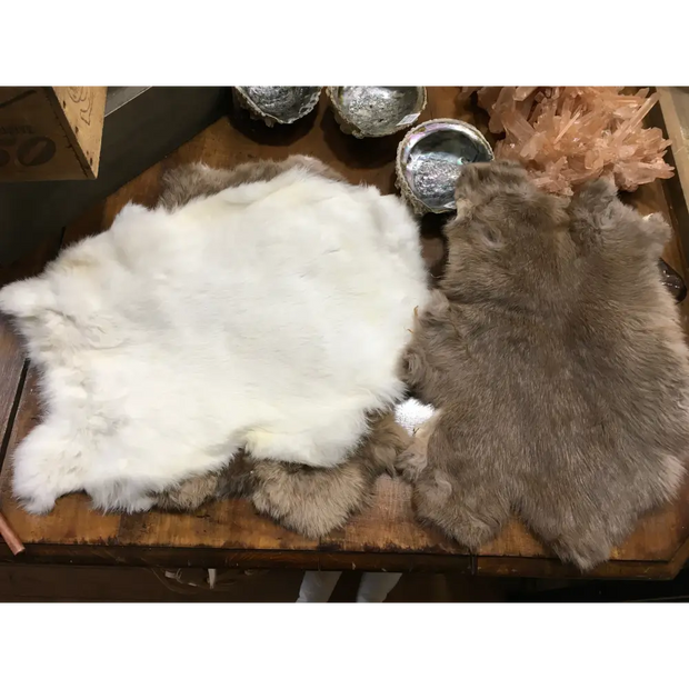 Rabbit Fur - Bones & Pelts