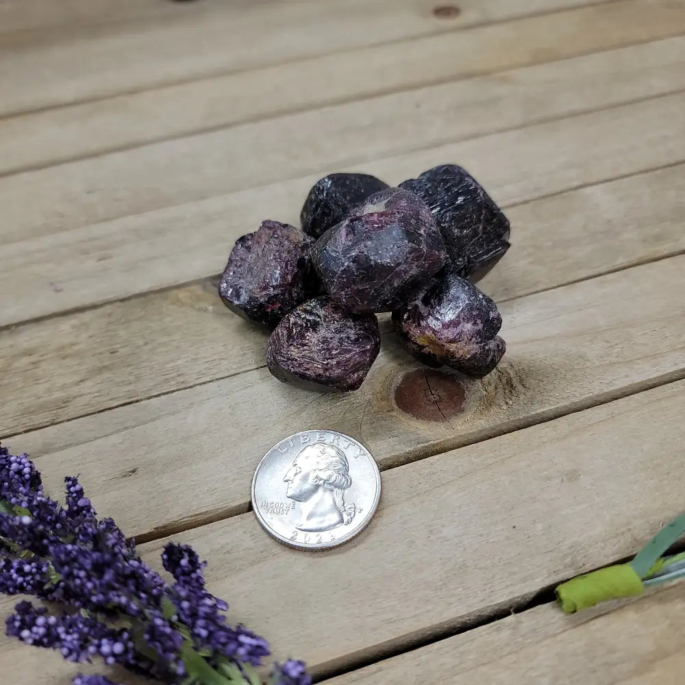 Raw Garnet Tumbles Specimens - XL - Tumbles