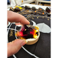 🔥 Red Amber from Sumatra - 1’’ to 1.5’’ Chunks ✨ - Small-74 - Specimens