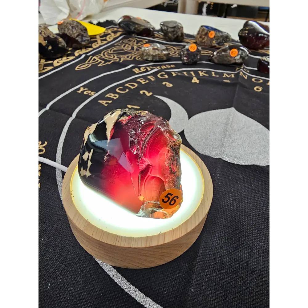 🔥 Red Amber from Sumatra - 1’’ to 1.5’’ Chunks ✨ - Medium-56 - Specimens