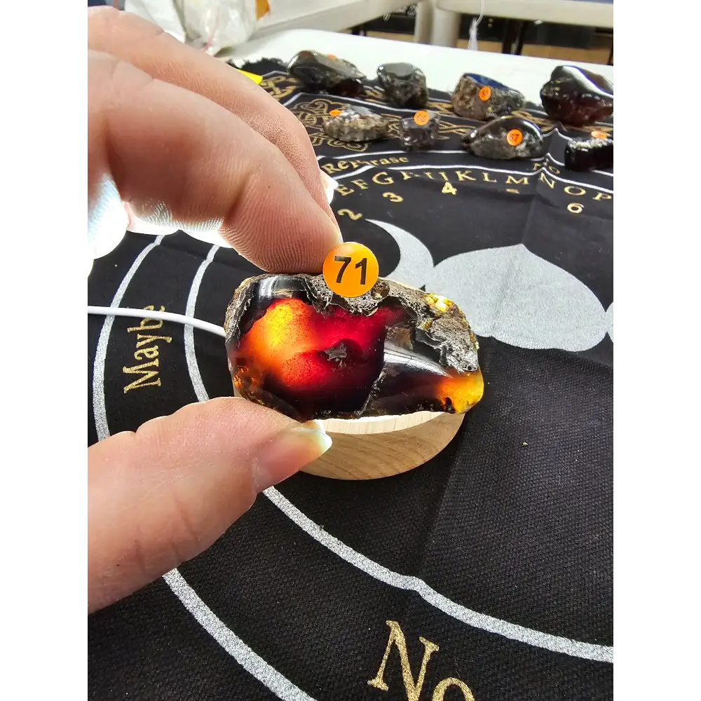 🔥 Red Amber from Sumatra - 1’’ to 1.5’’ Chunks ✨ - Small-71 - Specimens