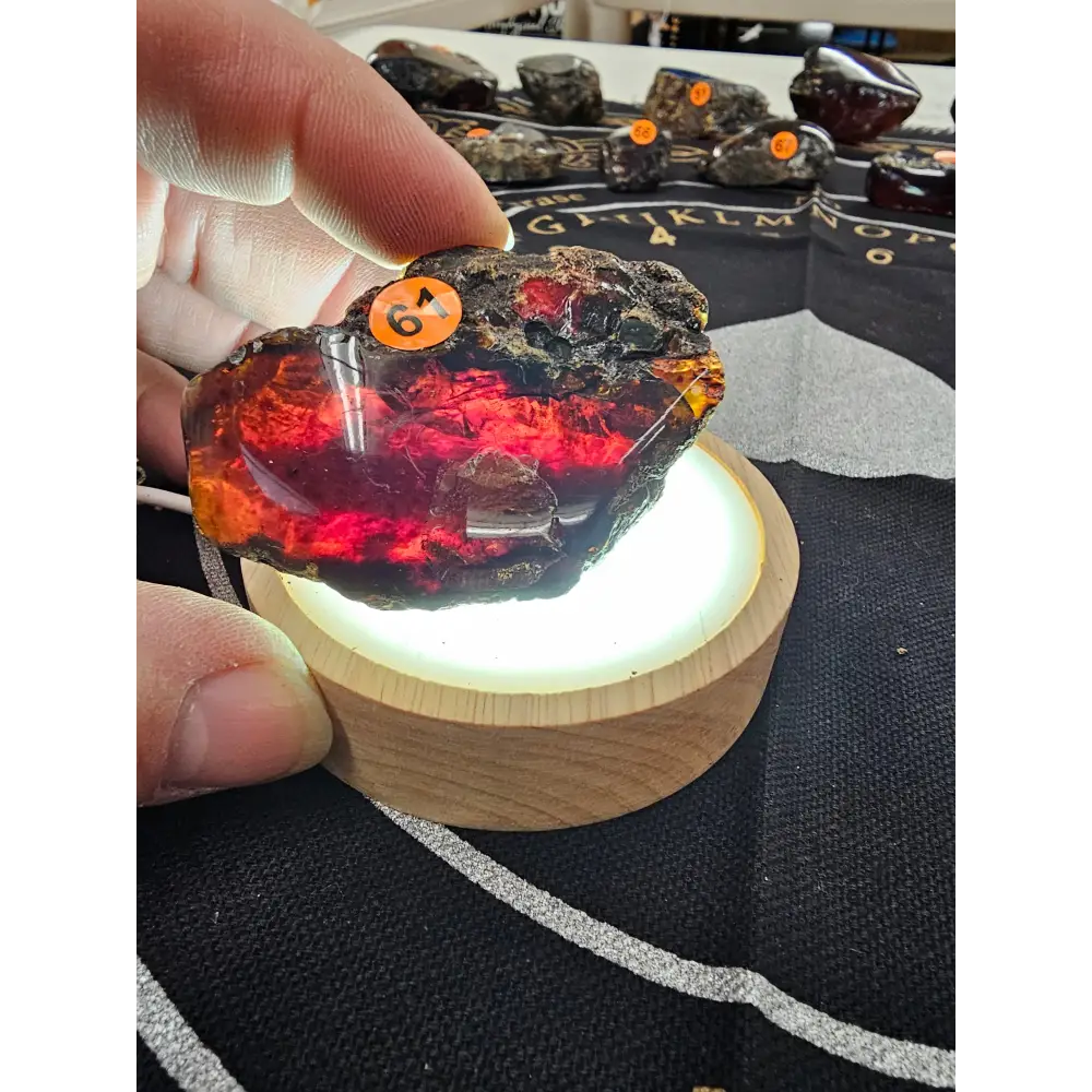 🔥 Red Amber from Sumatra - 1’’ to 1.5’’ Chunks ✨ - Medium-61 - Specimens