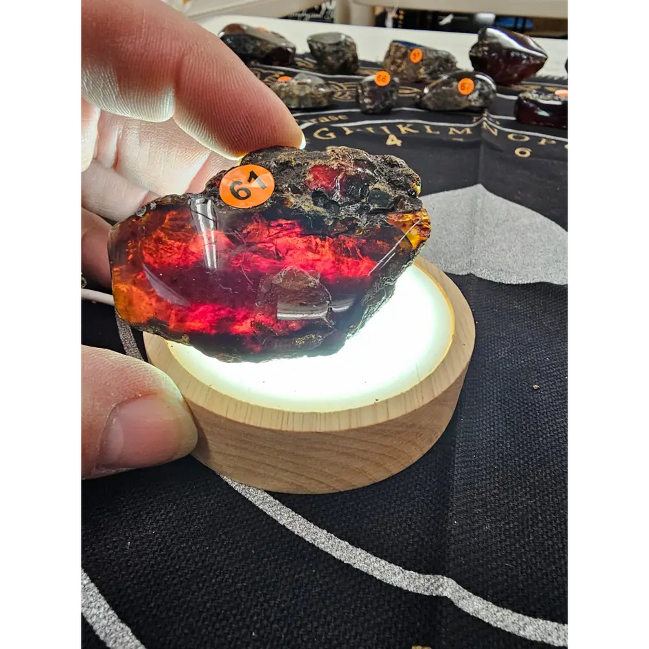 🔥 Red Amber from Sumatra - 1’’ to 1.5’’ Chunks ✨ - Medium-61 - Specimens
