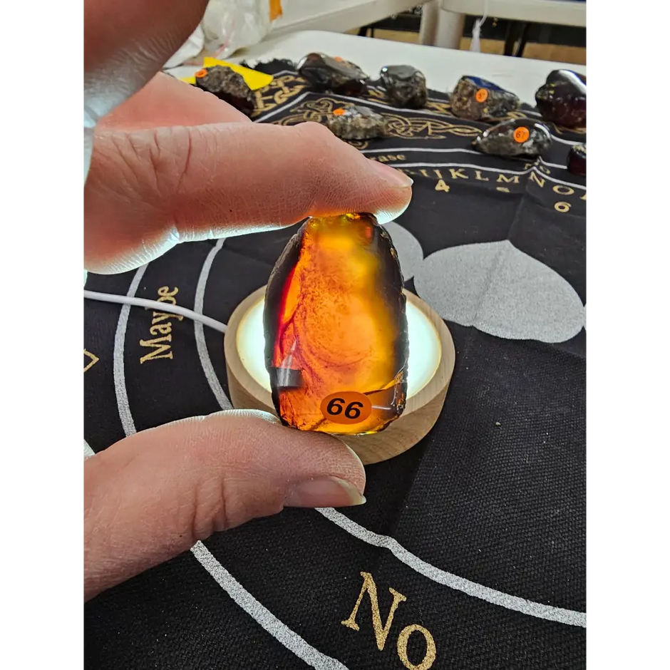 🔥 Red Amber from Sumatra - 1’’ to 1.5’’ Chunks ✨ - Small-66 - Specimens