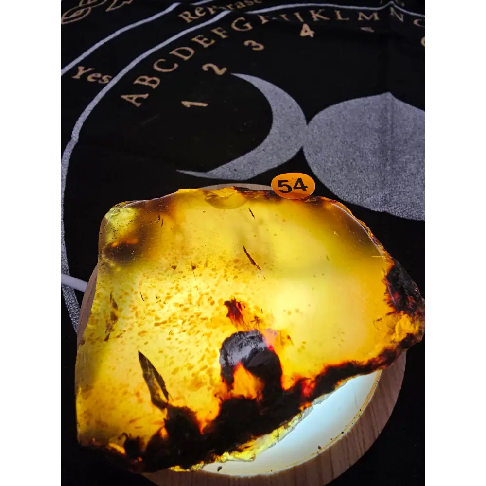 🔥 Red Amber from Sumatra - 1’’ to 1.5’’ Chunks ✨ - Large-54 - Specimens