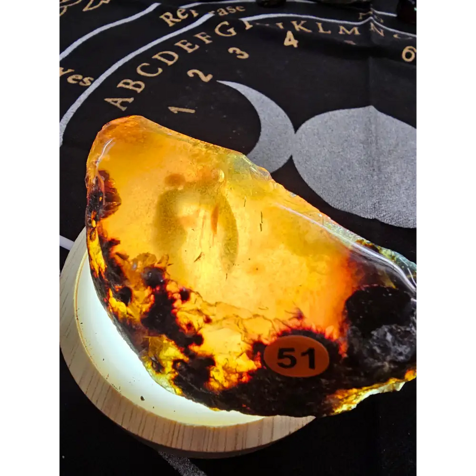 🔥 Red Amber from Sumatra - 1’’ to 1.5’’ Chunks ✨ - Large-51 - Specimens