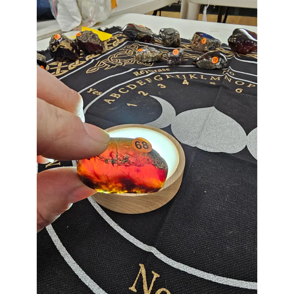 🔥 Red Amber from Sumatra - 1’’ to 1.5’’ Chunks ✨ - Small-68 - Specimens