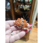 Red Quartz with Pyrite Cluster - 1 - Specimens