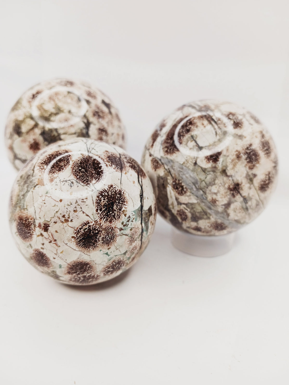 RARE! Green Sakura Flower Agate – Renewal, Heart Healing and Blossoming Growth! 🌸💚