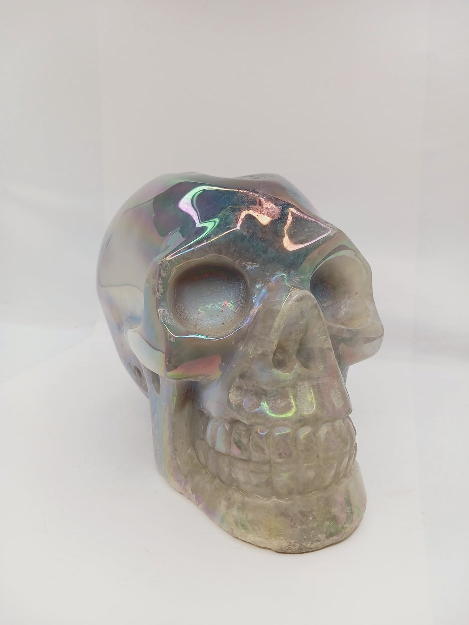 Agate Aura Coated Druzy Skull (6 x 4") – Sparkly Statement Carving for Display