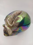 Agate Aura Coated Gemmy Druzy Skull (6.25 x 4