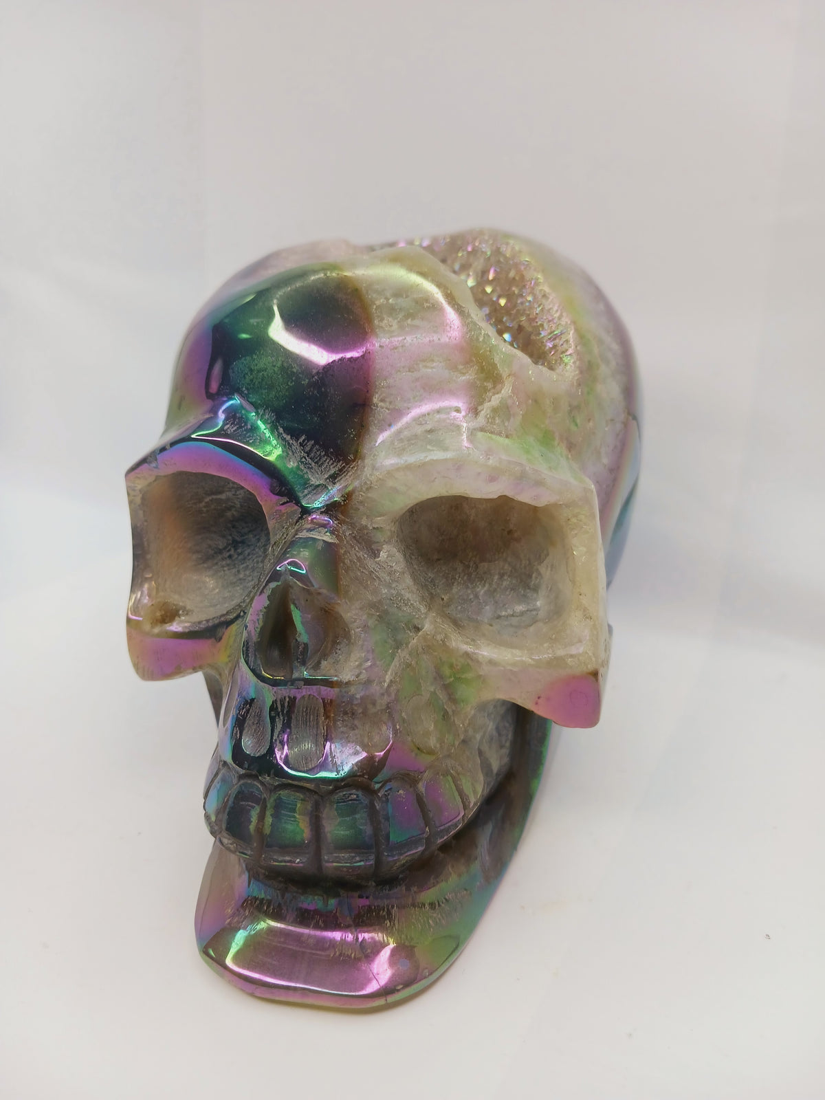 Agate Aura Coated Gemmy Druzy Skull (6.25 x 4