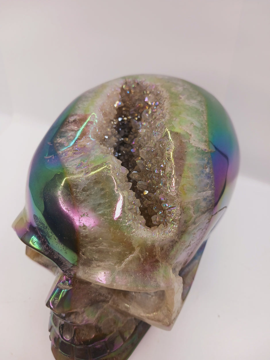 Agate Aura Coated Gemmy Druzy Skull (6.25 x 4
