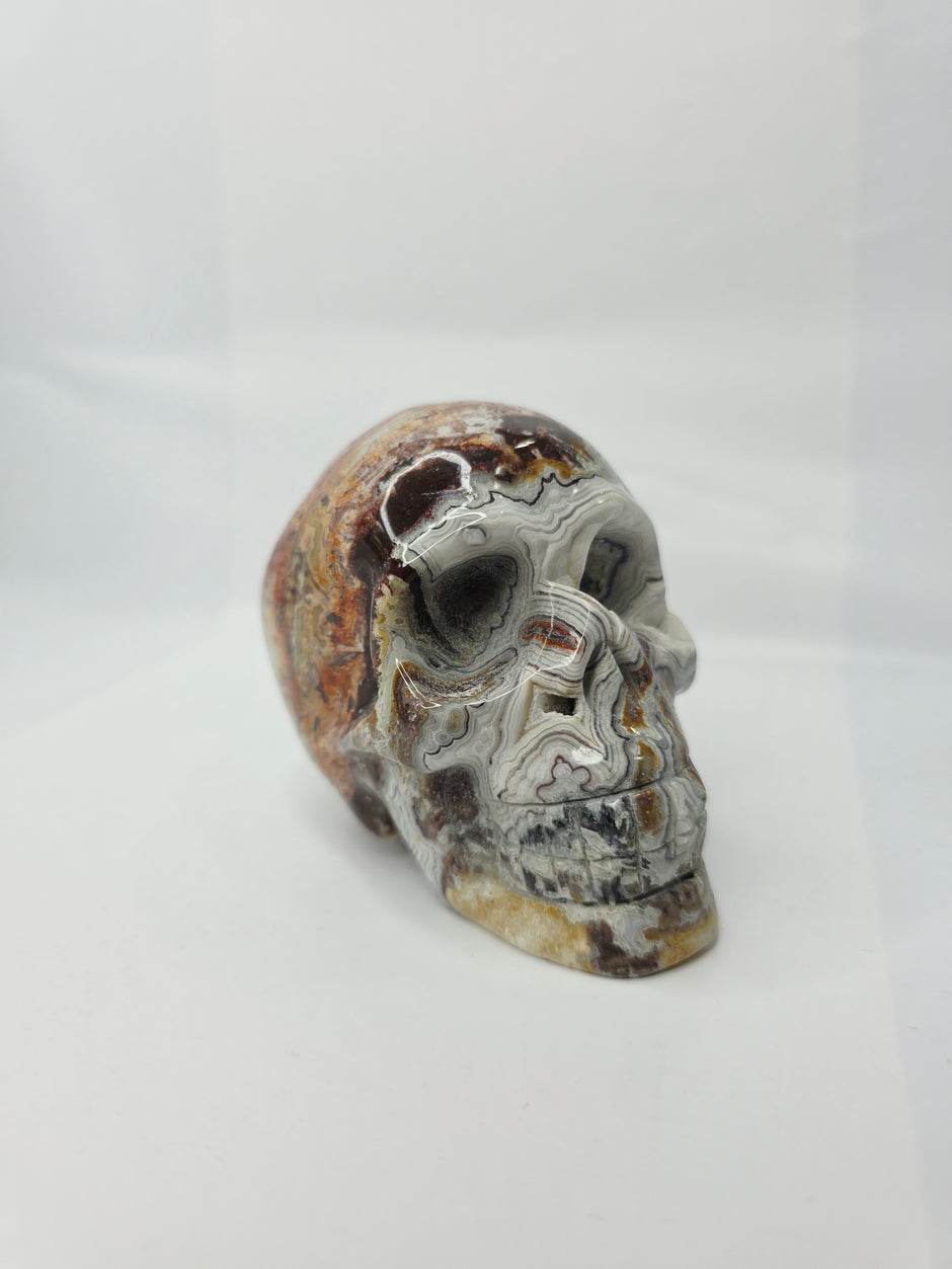 Mexican Crazy Lace Agate Skull (4 Inch) – Joy, Protection, and Grounding Crystal Carving