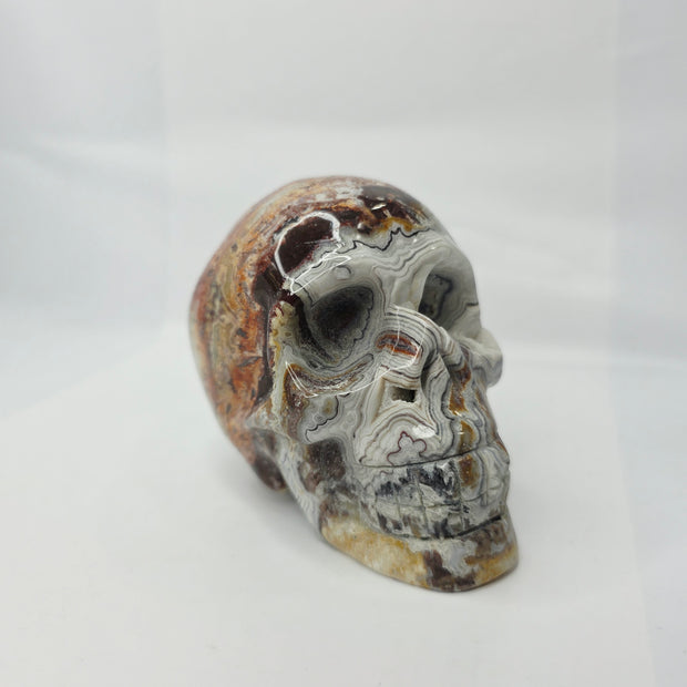 Mexican Crazy Lace Agate Skull (4 Inch) – Joy, Protection, and Grounding Crystal Carving
