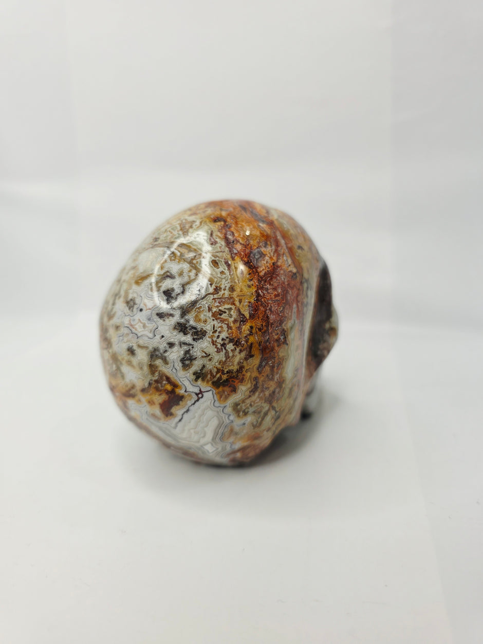 Mexican Crazy Lace Agate Skull (4 Inch) – Joy, Protection, and Grounding Crystal Carving