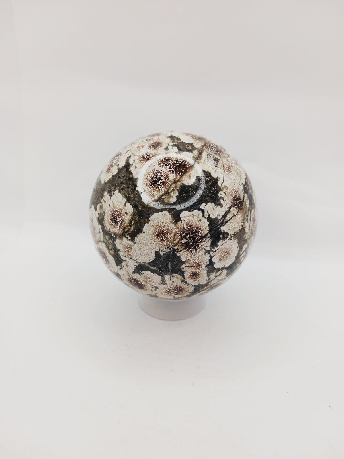 RARE! Green Sakura Flower Agate – Renewal, Heart Healing and Blossoming Growth! 🌸💚