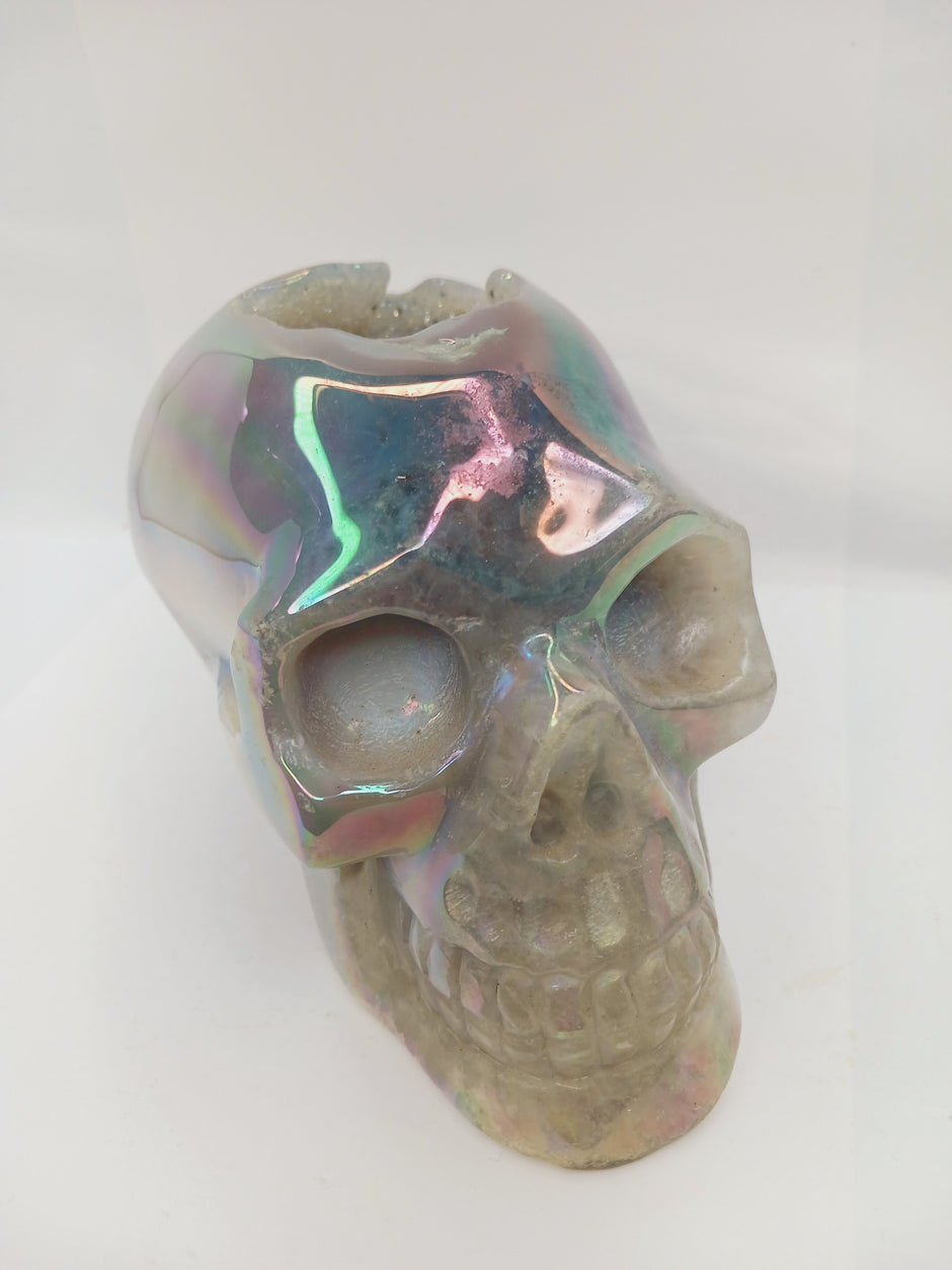 Agate Aura Coated Druzy Skull (6 x 4