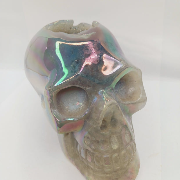 Agate Aura Coated Druzy Skull (6 x 4") – Sparkly Statement Carving for Display