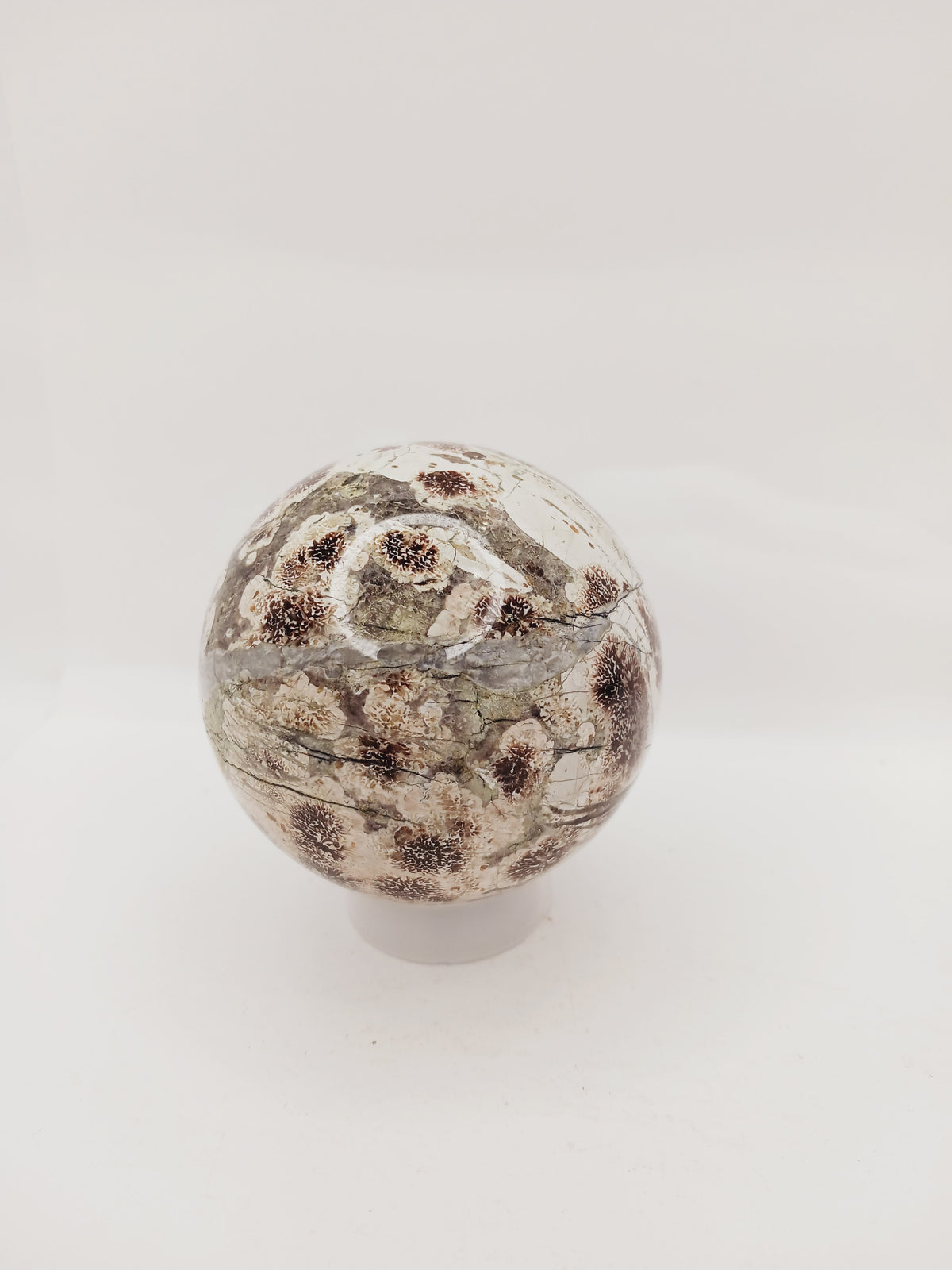 RARE! Green Sakura Flower Agate – Renewal, Heart Healing and Blossoming Growth! 🌸💚