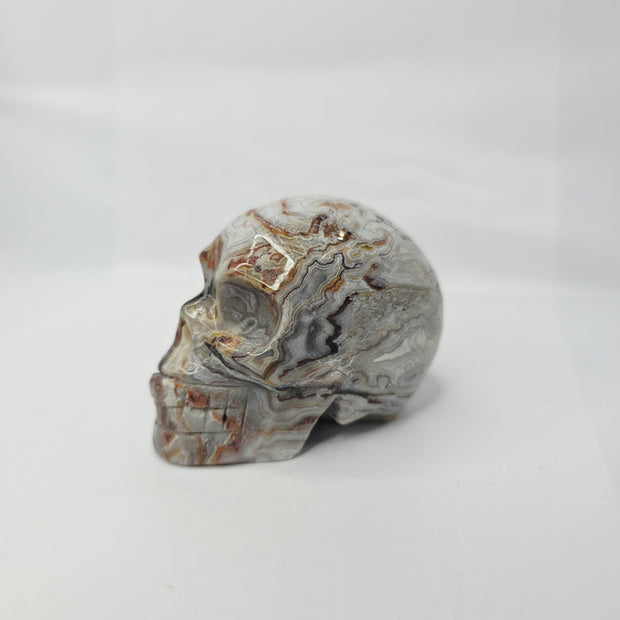 Mexican Crazy Lace Agate Skull (3 Inch) – Joy, Protection, and Grounding Crystal Carving
