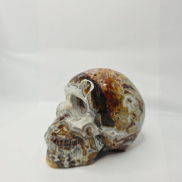 Mexican Crazy Lace Agate Skull (4 Inch) – Joy, Protection, and Grounding Crystal Carving