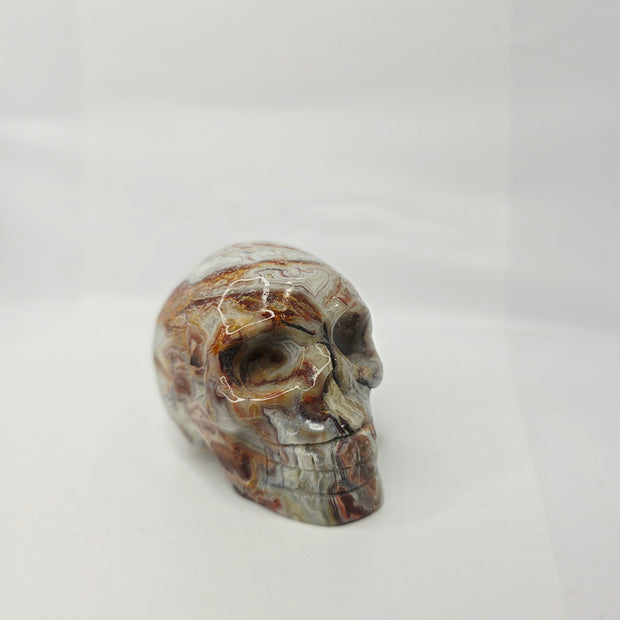 Mexican Crazy Lace Agate Skull (3 Inch) – Joy, Protection, and Grounding Crystal Carving