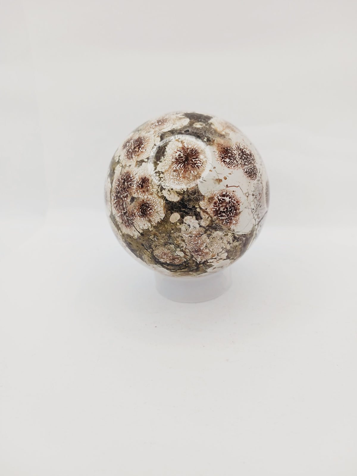 RARE! Green Sakura Flower Agate – Renewal, Heart Healing and Blossoming Growth! 🌸💚