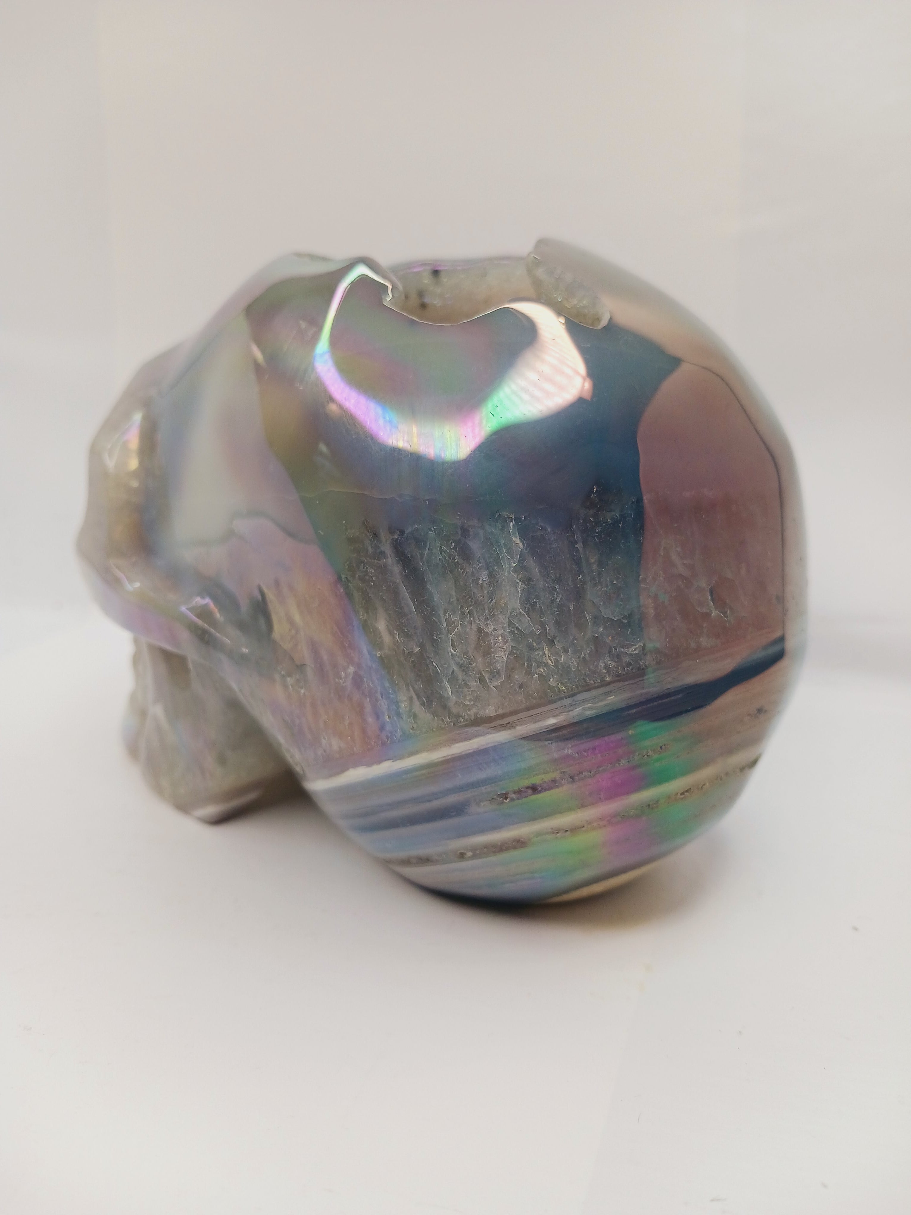 Agate Aura Coated Druzy Skull (6 x 4