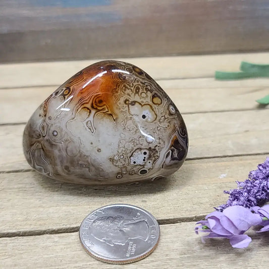 SardOnyx Palms - Medium - 01. SardOnyx Palm - PALM