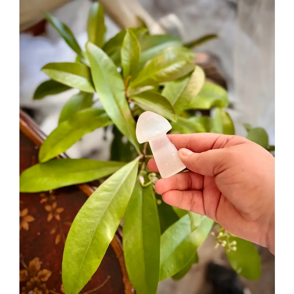 Selenite Mushroom - Carvings