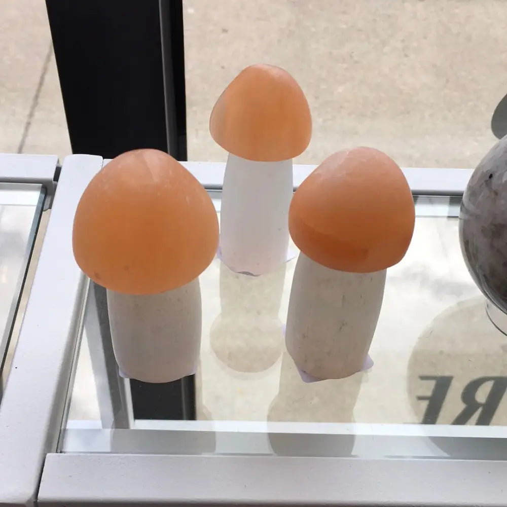 Selenite Mushroom - Carvings