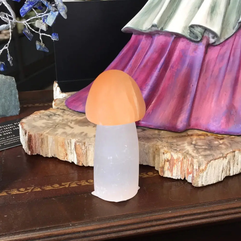 Selenite Mushroom - Carvings