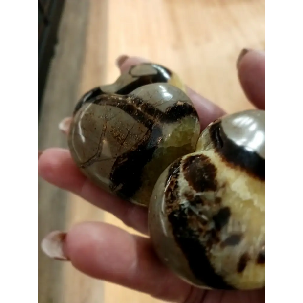 💛🤎 Septarian Hearts (approx. 2’’) – Nurturing Protection and Ancient Wisdom! 🤎💛 - Carvings
