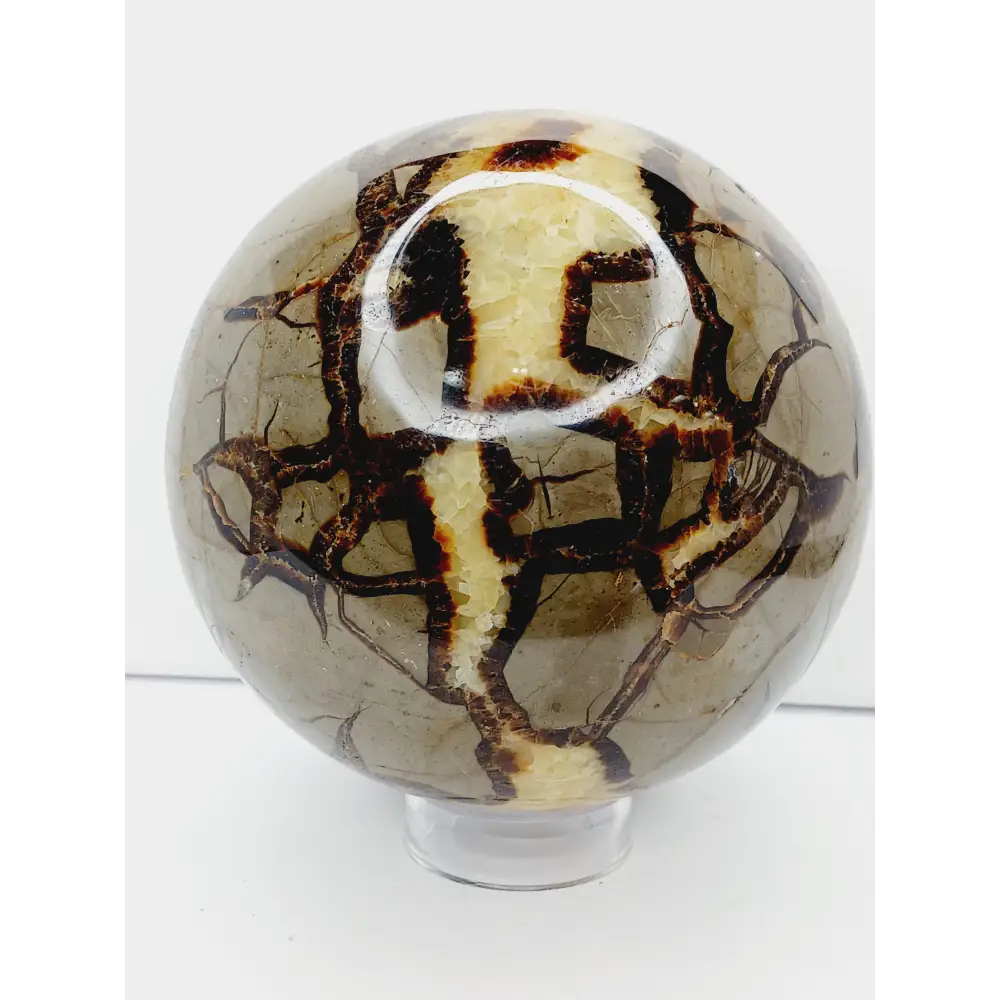 🌕✨ Septarian Spheres – Earth Energy & Ancient Wisdom! 🌍💛 - 16 - 5’’ - Spheres