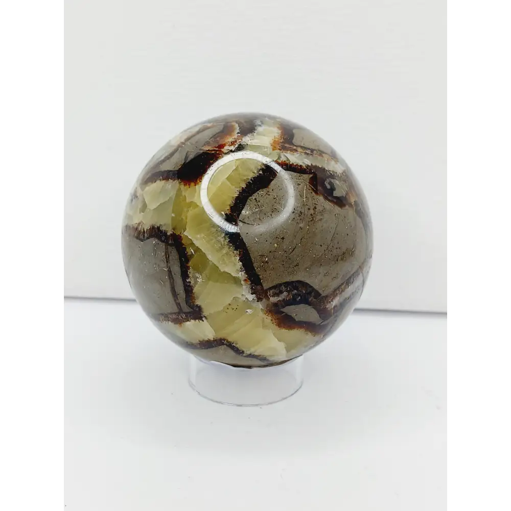 🌕✨ Septarian Spheres – Earth Energy & Ancient Wisdom! 🌍💛 - 3 - 2.5’’ - Spheres