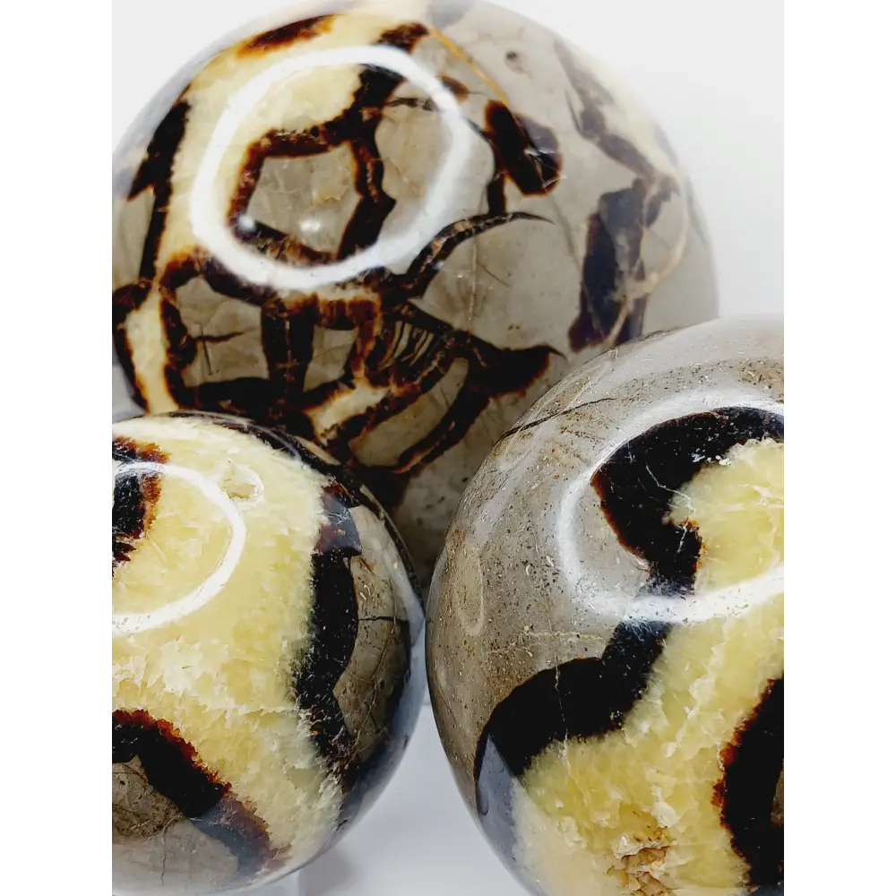 🌕✨ Septarian Spheres – Earth Energy & Ancient Wisdom! 🌍💛 - Spheres