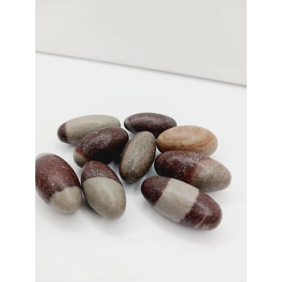 Shiva Lingam stones, polished with natural earthy patterns, available in sizes 1" to 8", displayed on a white background.