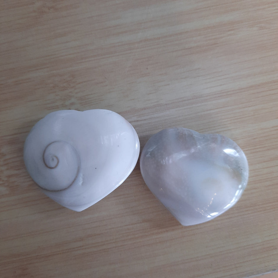Shiva Shells Tumble - Tumbles