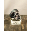 💀 Skull Rings - Green Aventurine & Black and White Calcite (Shamanite) ✨ - Shamanite - Jewelry