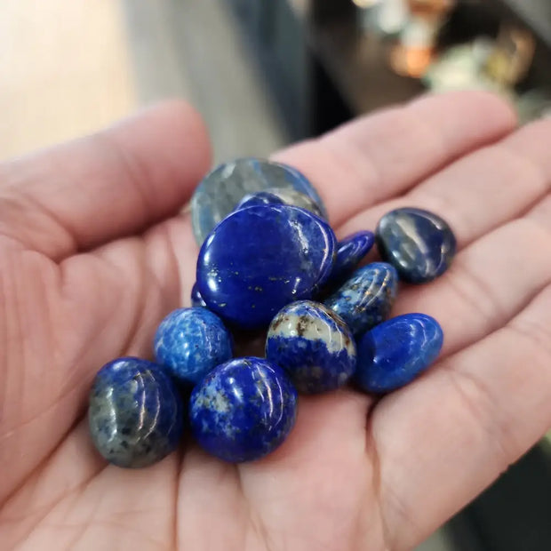 Small Lapis Tumbles - Tumbles