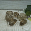 Smokey Quartz Tumbles - Tumbles