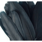 Ethically sourced black goose feather, approximately 8 inches long, with smooth, glossy texture, displayed on a white background. Perfect for smudging, purification, and sacred rituals.