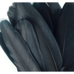Ethically sourced black goose feather, approximately 8 inches long, with smooth, glossy texture, displayed on a white background. Perfect for smudging, purification, and sacred rituals.